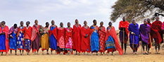 karamoja safari camp