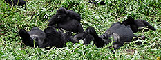 karamoja safari camp