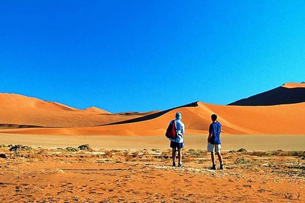 sossusvlei 1 day tour