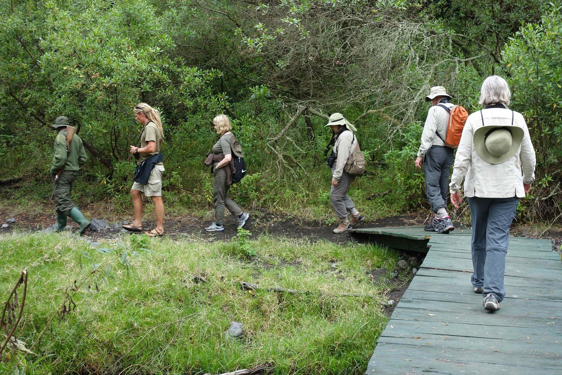Arusha National Park Walking Safari | Join Up Safaris