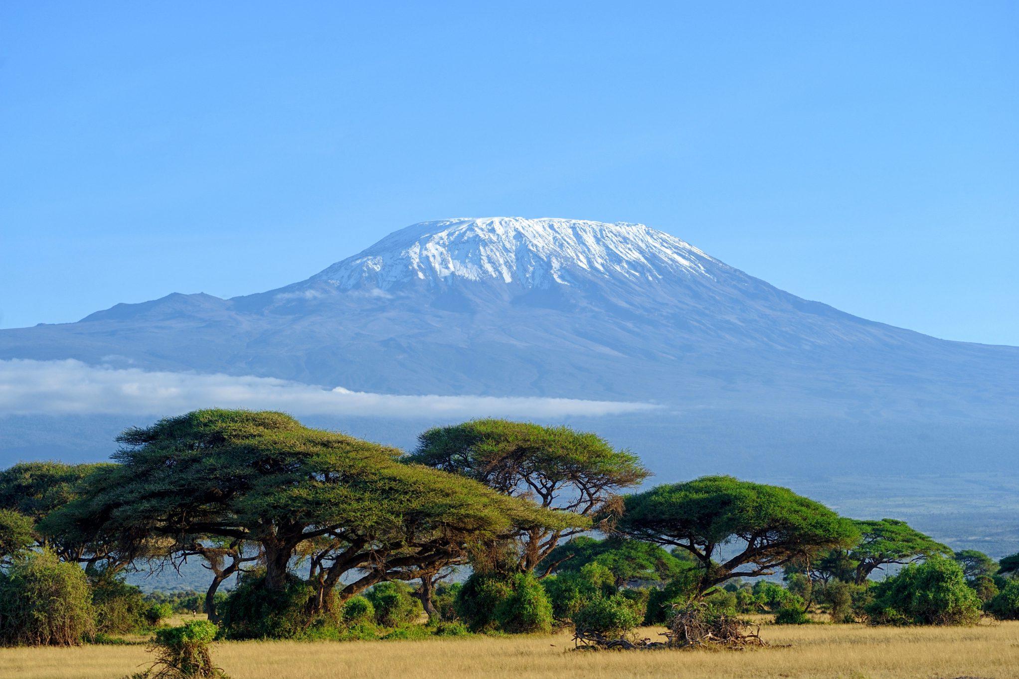 safari tours from kilimanjaro airport