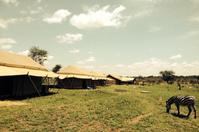 Mbugani Migration Camp