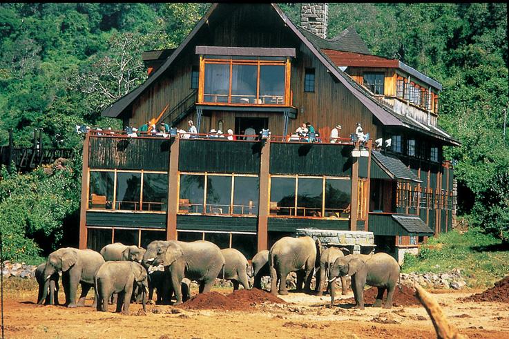 treetops safari park kenya